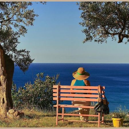 Villa Pierina Finale Ligure Exteriör bild