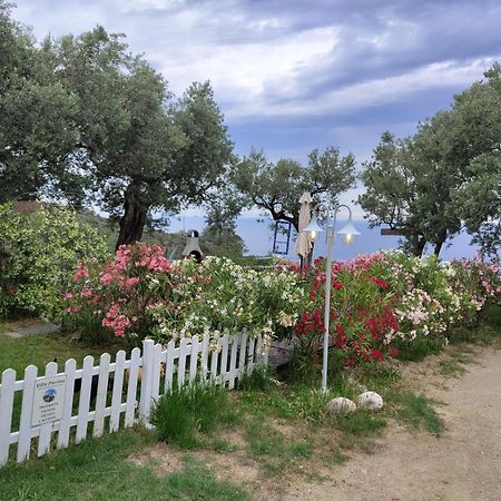 Villa Pierina Finale Ligure Exteriör bild