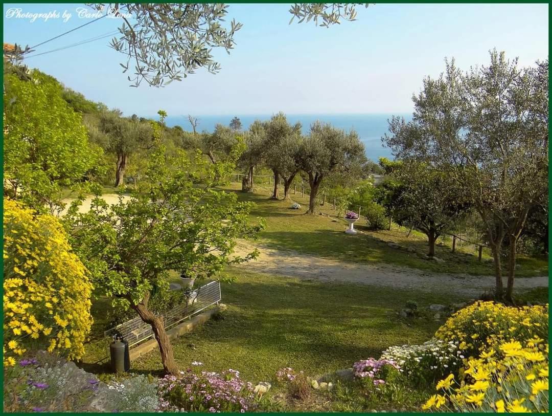 Villa Pierina Finale Ligure Exteriör bild