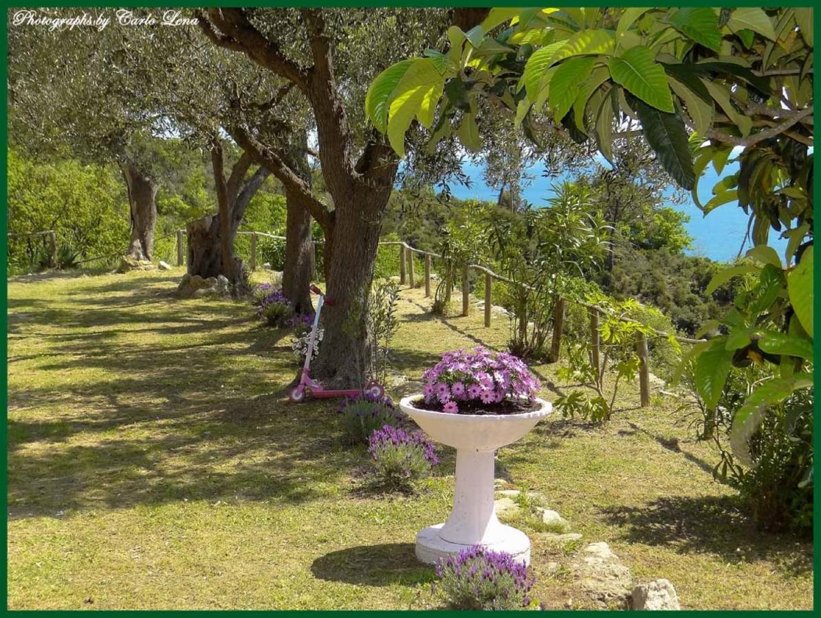 Villa Pierina Finale Ligure Exteriör bild