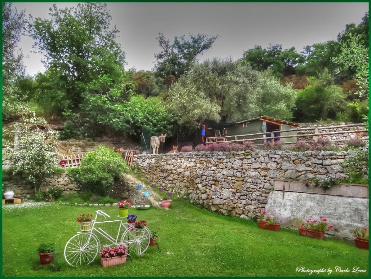 Villa Pierina Finale Ligure Exteriör bild