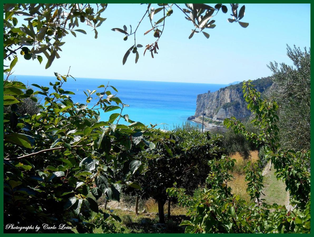 Villa Pierina Finale Ligure Exteriör bild