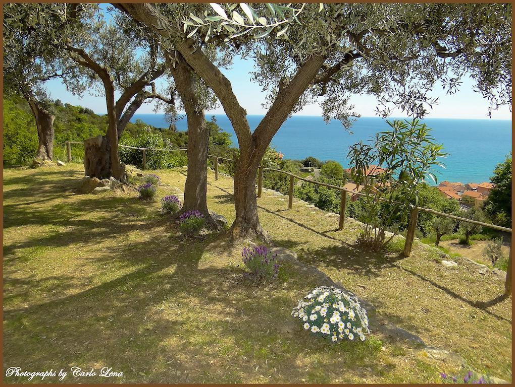 Villa Pierina Finale Ligure Exteriör bild